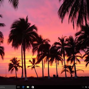 Meet your Posher, Midge